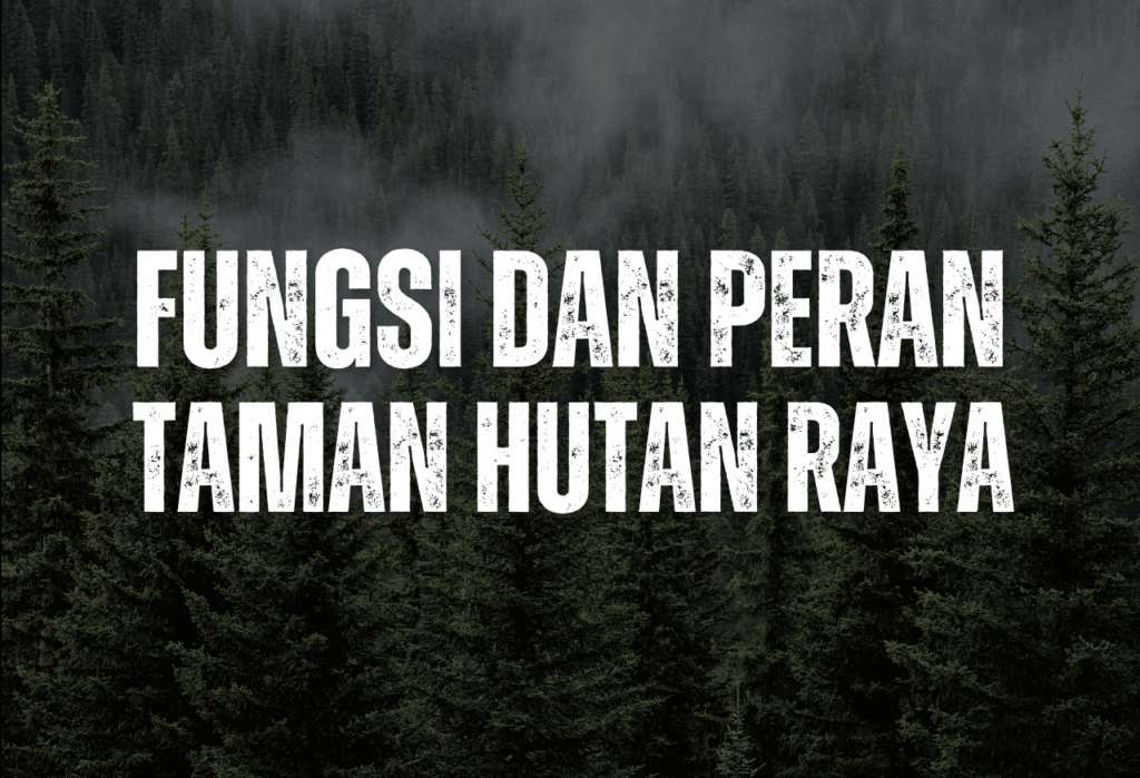 FUNGSI DAN PERAN KONSERVASI